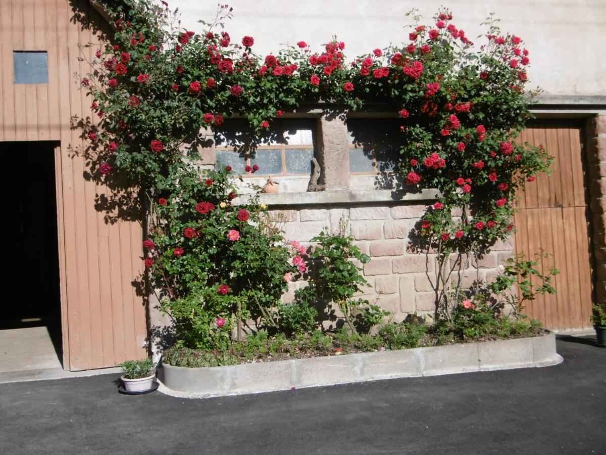 Chez Catherine Et Roger Brouvelieures Luaran gambar